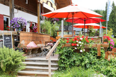 Alm - Haus