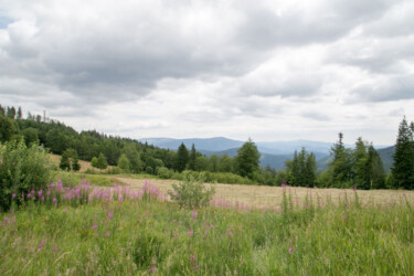 Alm - Aussicht
