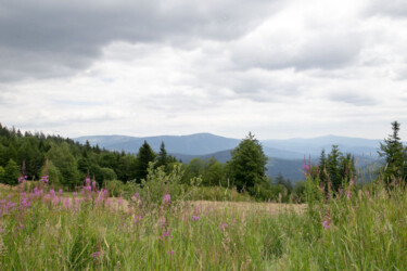 Alm - Aussicht