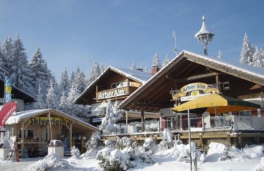 Arber - Alm