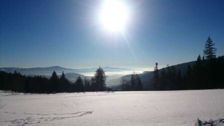 Arber - Alm
