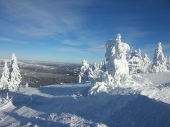 Arber - Alm