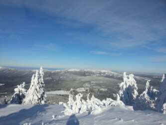 Arber - Alm