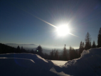 Arber - Alm